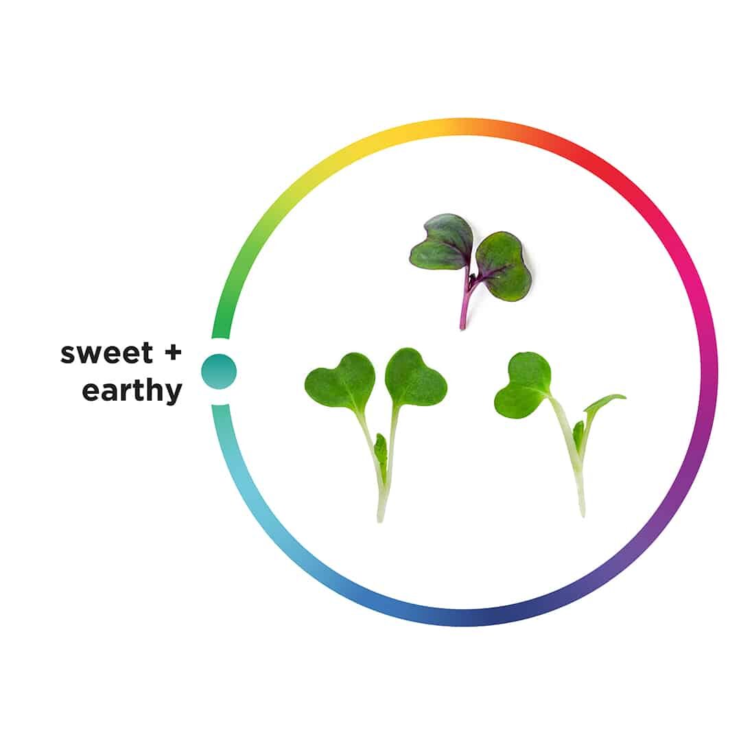 micro super mix, AeroFarms