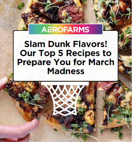 Top 5 Recipes for your March Madness